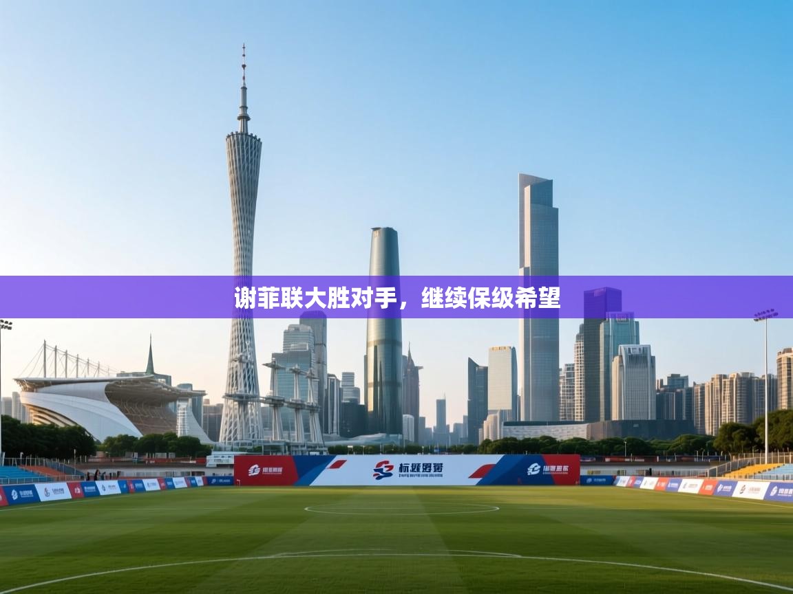 谢菲联大胜对手，继续保级希望  第2张