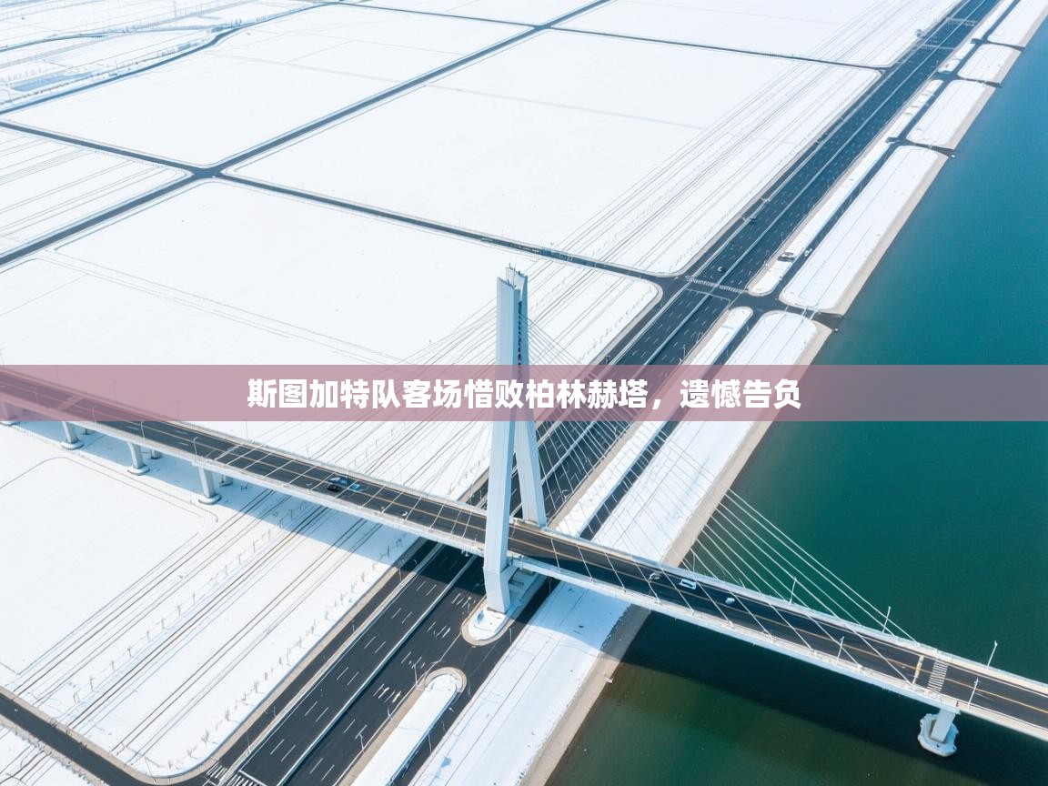 斯图加特队客场惜败柏林赫塔,遗憾告负 第1张