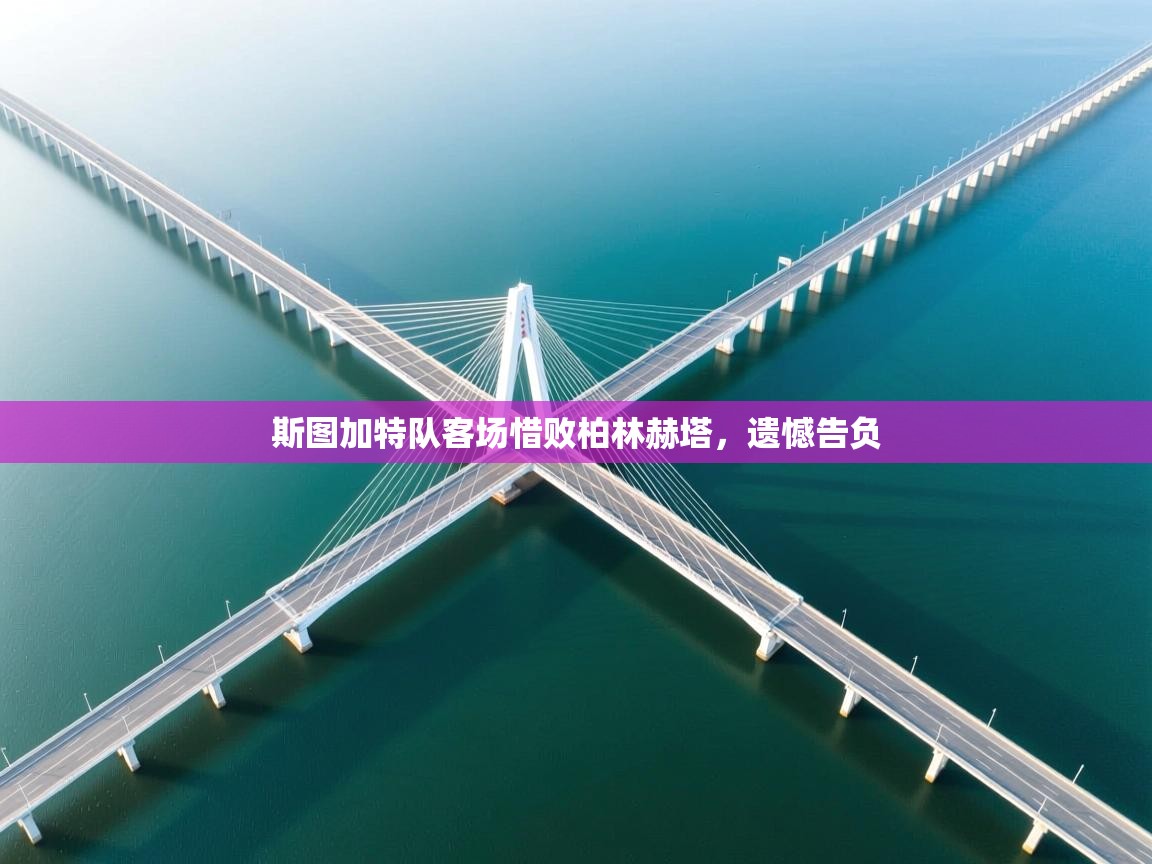 斯图加特队客场惜败柏林赫塔,遗憾告负 第2张