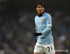 九游娱乐靠谱-15年前的今天大卫-席尔瓦加盟曼城，效力10年斩获14冠(大卫席尔瓦妻子)